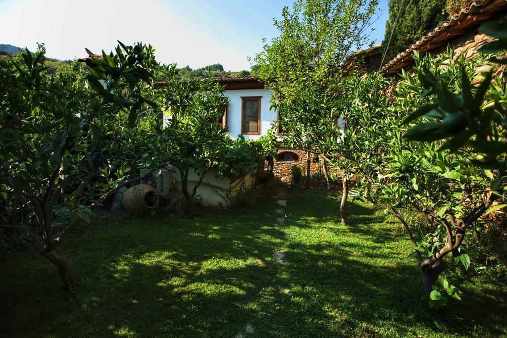 Terrace Houses Sirince Selçuk Exteriör bild