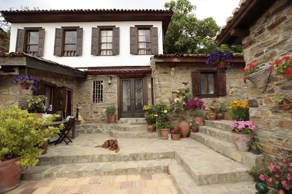 Terrace Houses Sirince Selçuk Exteriör bild
