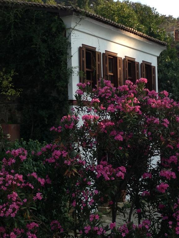 Terrace Houses Sirince Selçuk Exteriör bild
